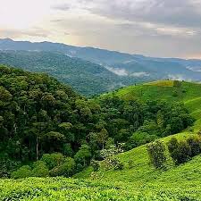 فيز سياحية اوغندا