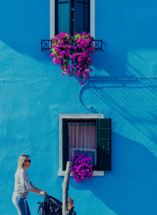 البرامج السياحية